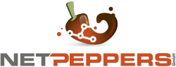 Netpeppers GmbH - Logo